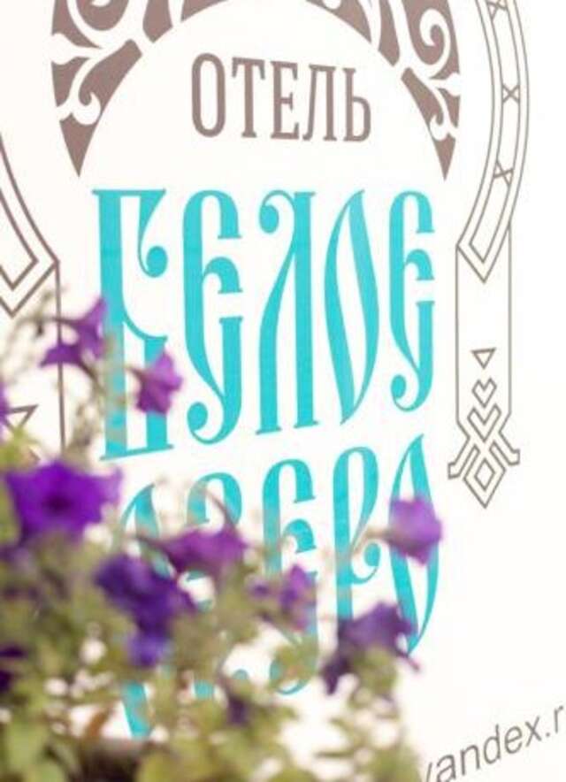 Мини-отель Белое Озеро Томск-69